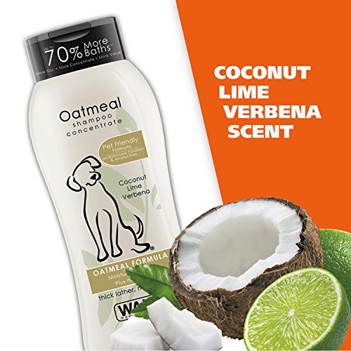 Wahl USA Dry Skin & Itch Relief Pet Shampoo for Dogs – Oatmeal Formula with Coconut Lime Verbena & Pet Friendly Formula, 24 Oz - Model 820004A