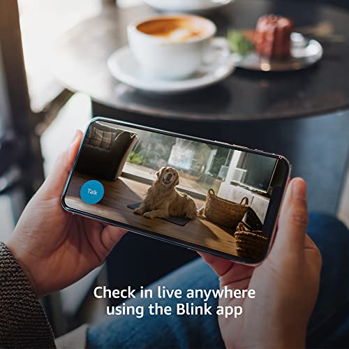 Blink Mini - Cámara de seguridad inteligente compacta, conectable, para interiores, con video de alta definición 1080 y detección de movimiento, funciona con Alexa - 1 cámara (blanco)