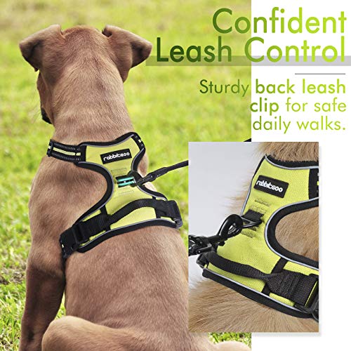 rabbitgoo Dog Harness, No-Pull Pet Harness with 2 Leash Clips, Adjustable Soft Padded Dog Vest, Reflective No-Choke Pet Oxford Vest with Easy Control Handle for Large Dogs, Black, L