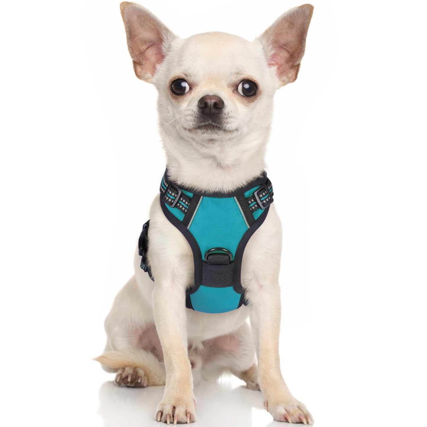 rabbitgoo Dog Harness, No-Pull Pet Harness with 2 Leash Clips, Adjustable Soft Padded Dog Vest, Reflective No-Choke Pet Oxford Vest with Easy Control Handle for Large Dogs, Black, L