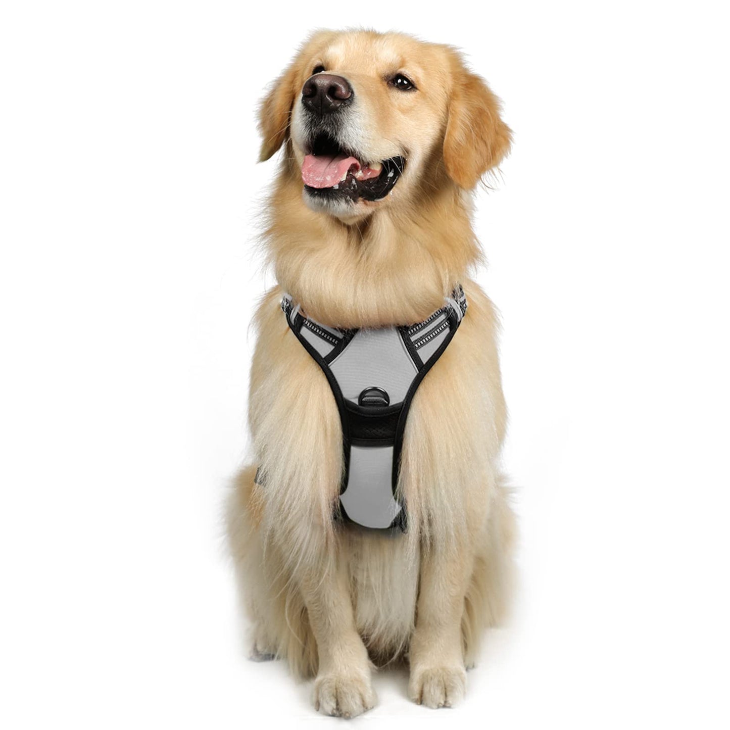 rabbitgoo Dog Harness, No-Pull Pet Harness with 2 Leash Clips, Adjustable Soft Padded Dog Vest, Reflective No-Choke Pet Oxford Vest with Easy Control Handle for Large Dogs, Black, L