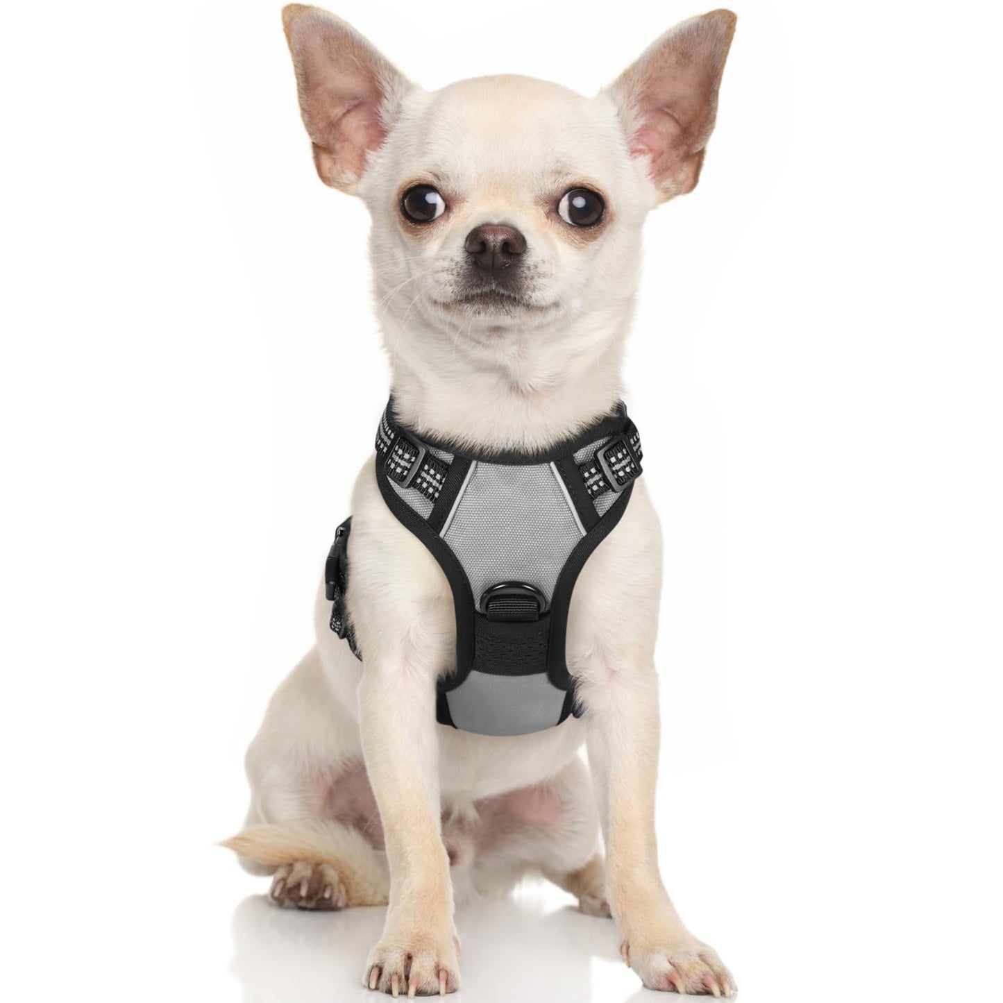 rabbitgoo Dog Harness, No-Pull Pet Harness with 2 Leash Clips, Adjustable Soft Padded Dog Vest, Reflective No-Choke Pet Oxford Vest with Easy Control Handle for Large Dogs, Black, L