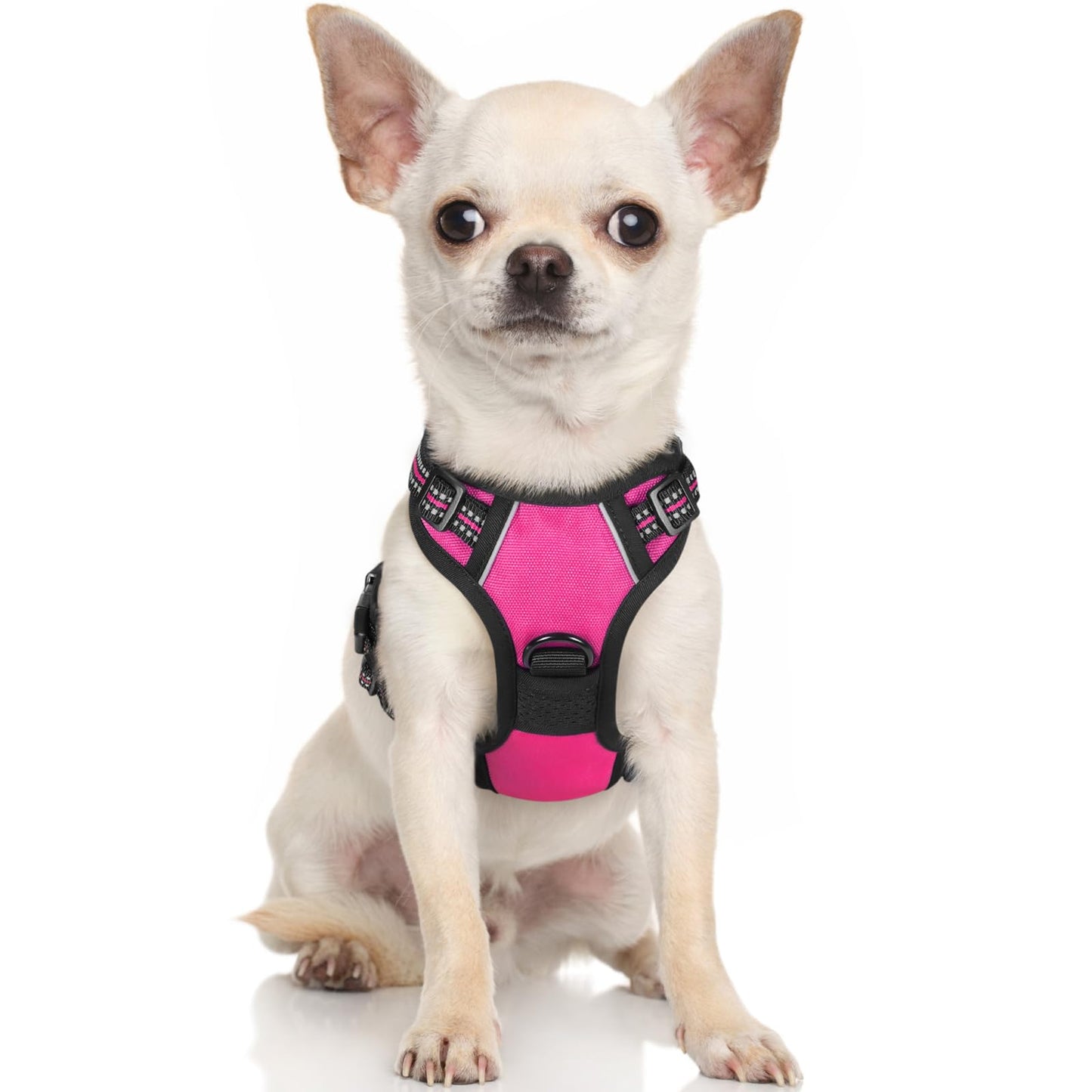 rabbitgoo Dog Harness, No-Pull Pet Harness with 2 Leash Clips, Adjustable Soft Padded Dog Vest, Reflective No-Choke Pet Oxford Vest with Easy Control Handle for Large Dogs, Black, L