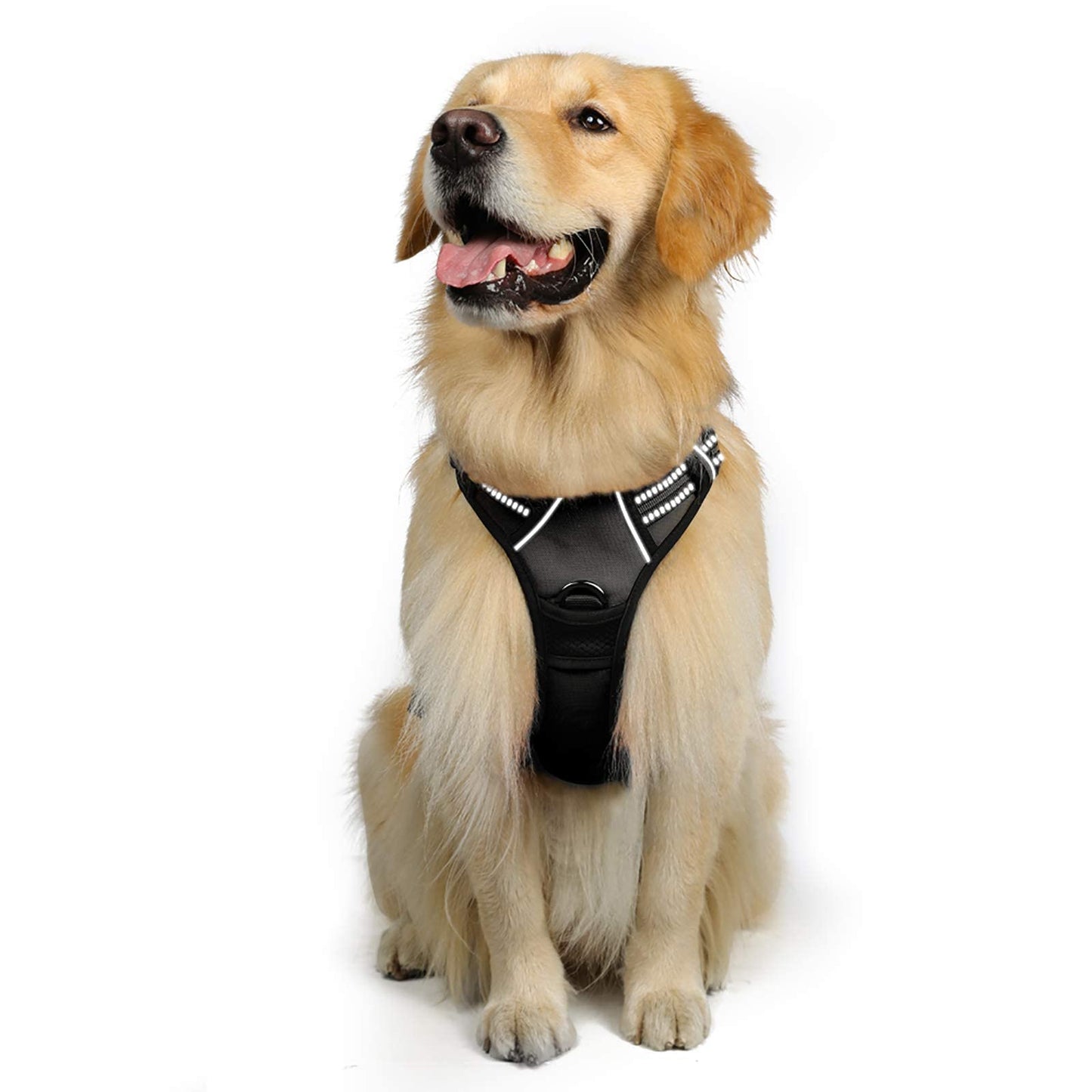 rabbitgoo Dog Harness, No-Pull Pet Harness with 2 Leash Clips, Adjustable Soft Padded Dog Vest, Reflective No-Choke Pet Oxford Vest with Easy Control Handle for Large Dogs, Black, L