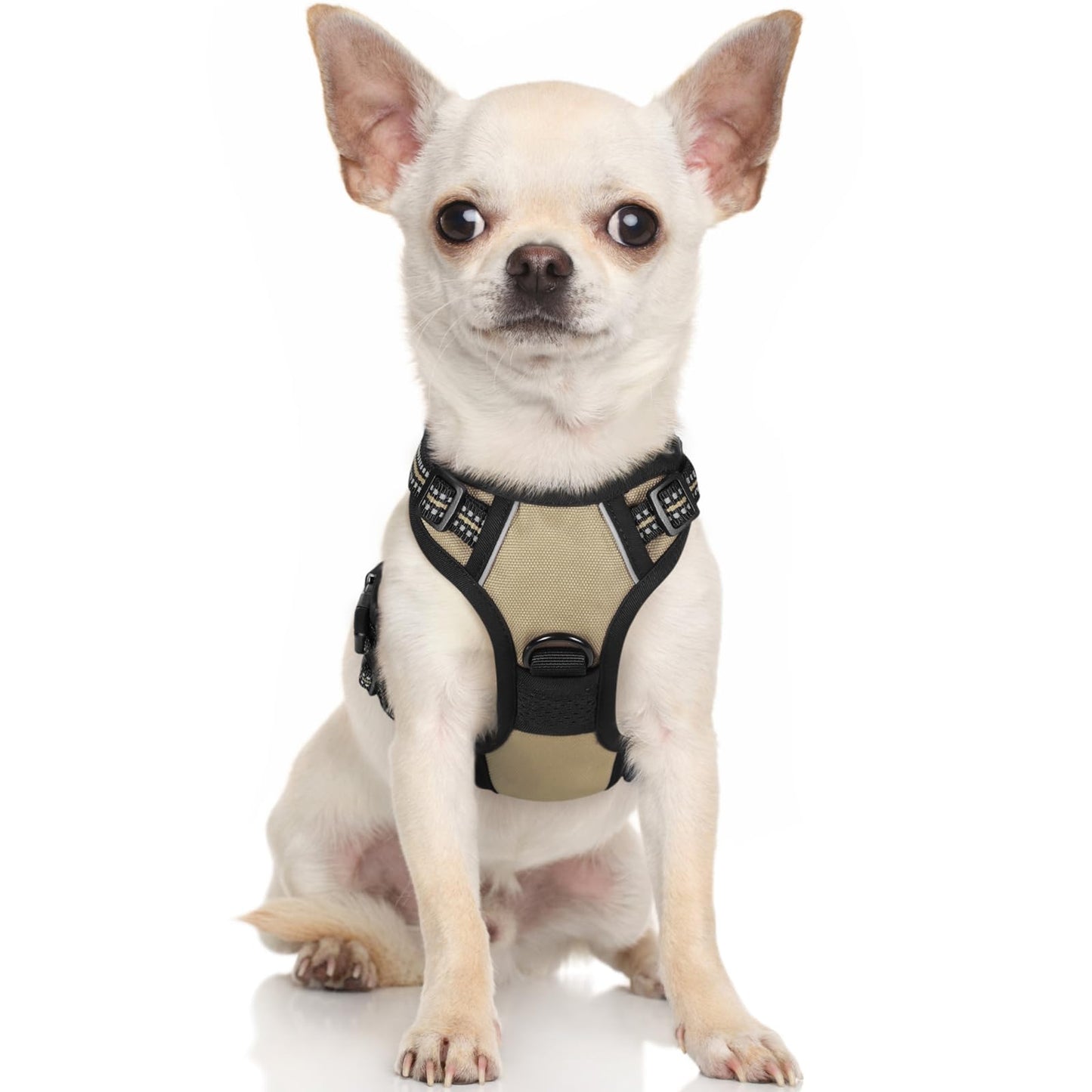 rabbitgoo Dog Harness, No-Pull Pet Harness with 2 Leash Clips, Adjustable Soft Padded Dog Vest, Reflective No-Choke Pet Oxford Vest with Easy Control Handle for Large Dogs, Black, L