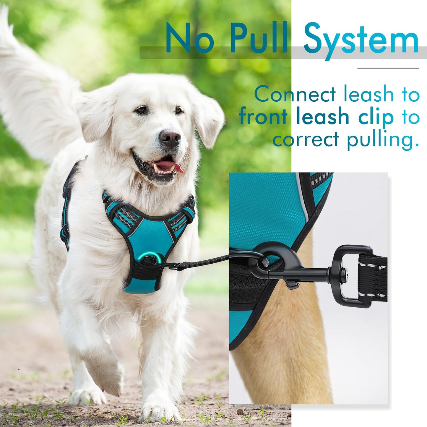 rabbitgoo Dog Harness, No-Pull Pet Harness with 2 Leash Clips, Adjustable Soft Padded Dog Vest, Reflective No-Choke Pet Oxford Vest with Easy Control Handle for Large Dogs, Black, L