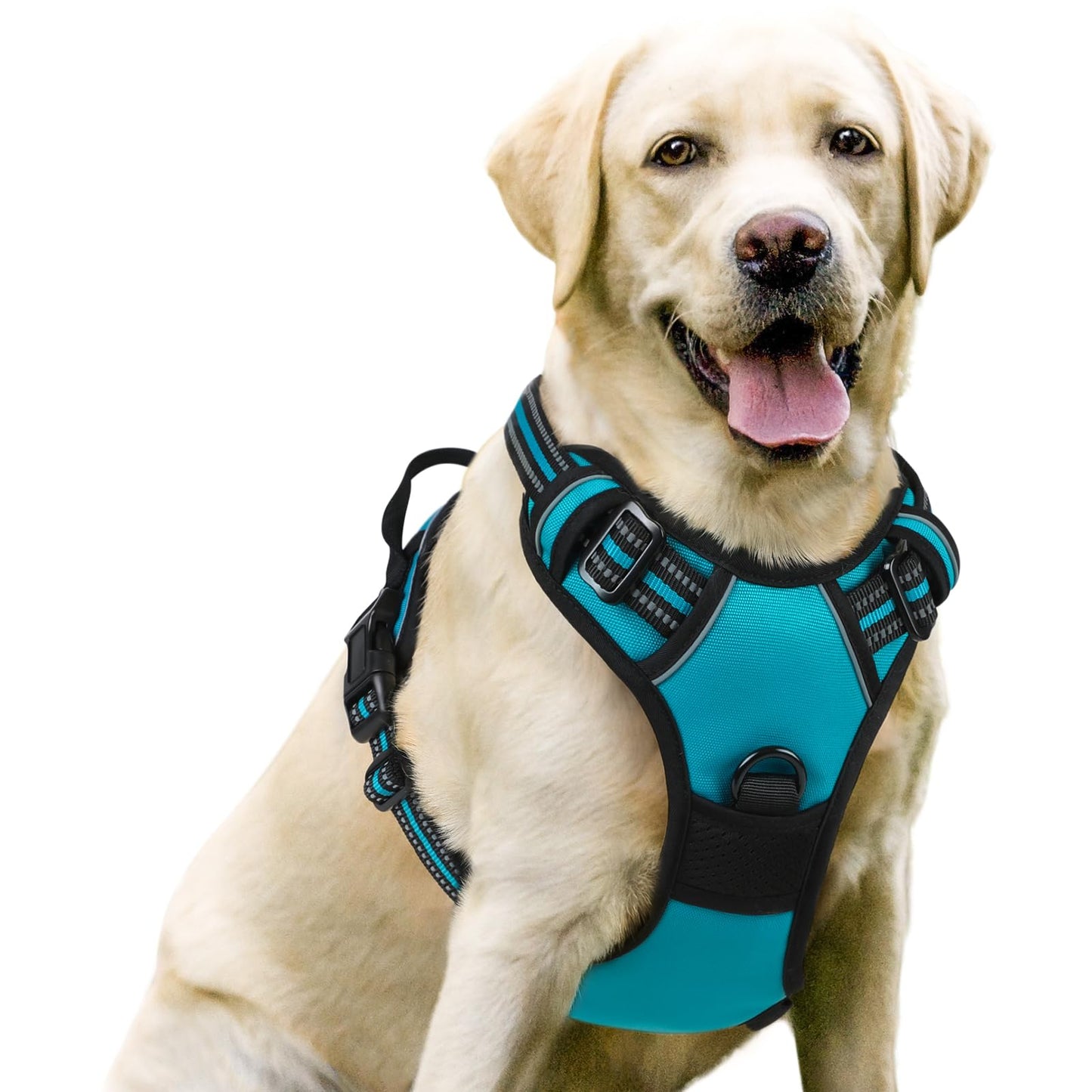 rabbitgoo Dog Harness, No-Pull Pet Harness with 2 Leash Clips, Adjustable Soft Padded Dog Vest, Reflective No-Choke Pet Oxford Vest with Easy Control Handle for Large Dogs, Black, L