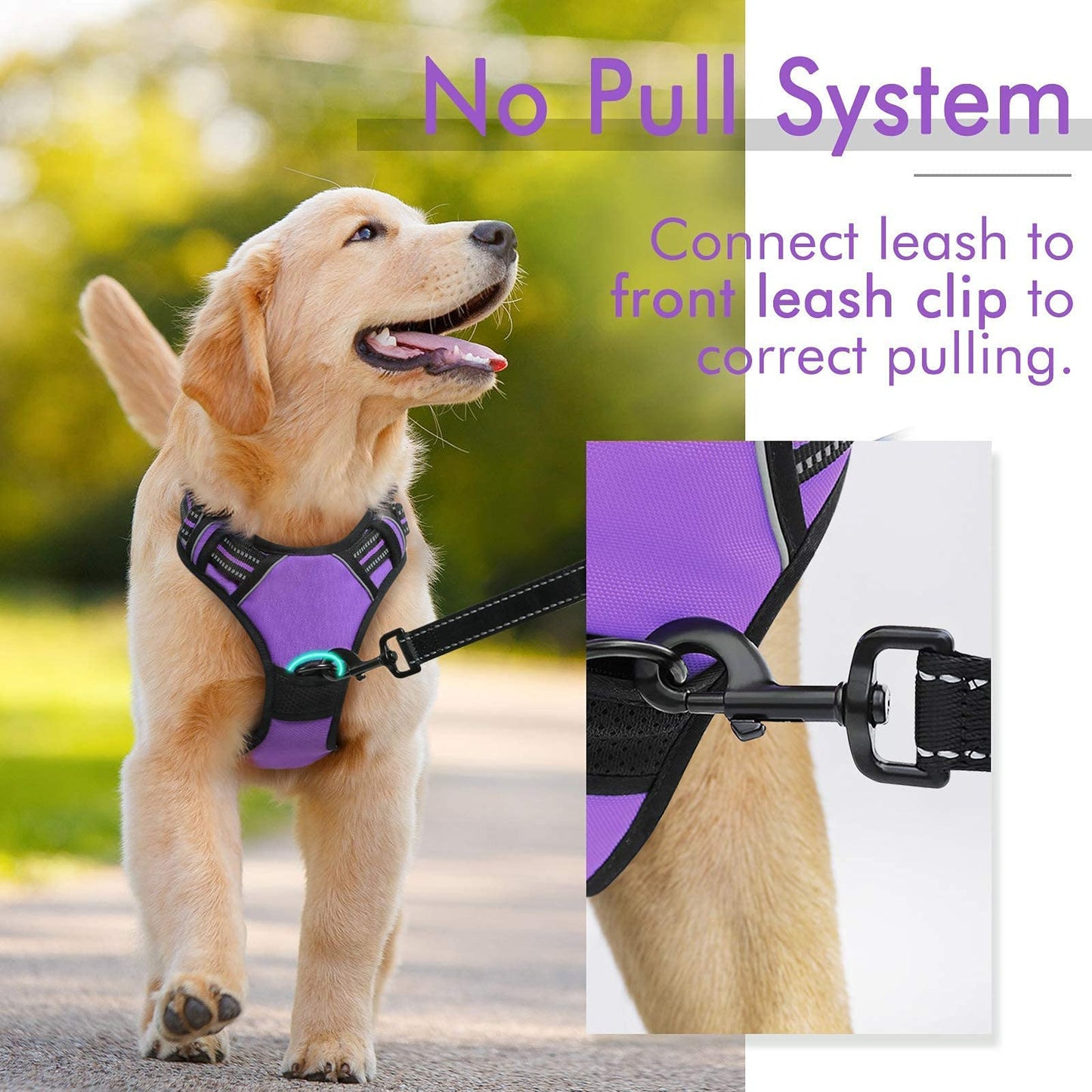 rabbitgoo Dog Harness, No-Pull Pet Harness with 2 Leash Clips, Adjustable Soft Padded Dog Vest, Reflective No-Choke Pet Oxford Vest with Easy Control Handle for Large Dogs, Black, L