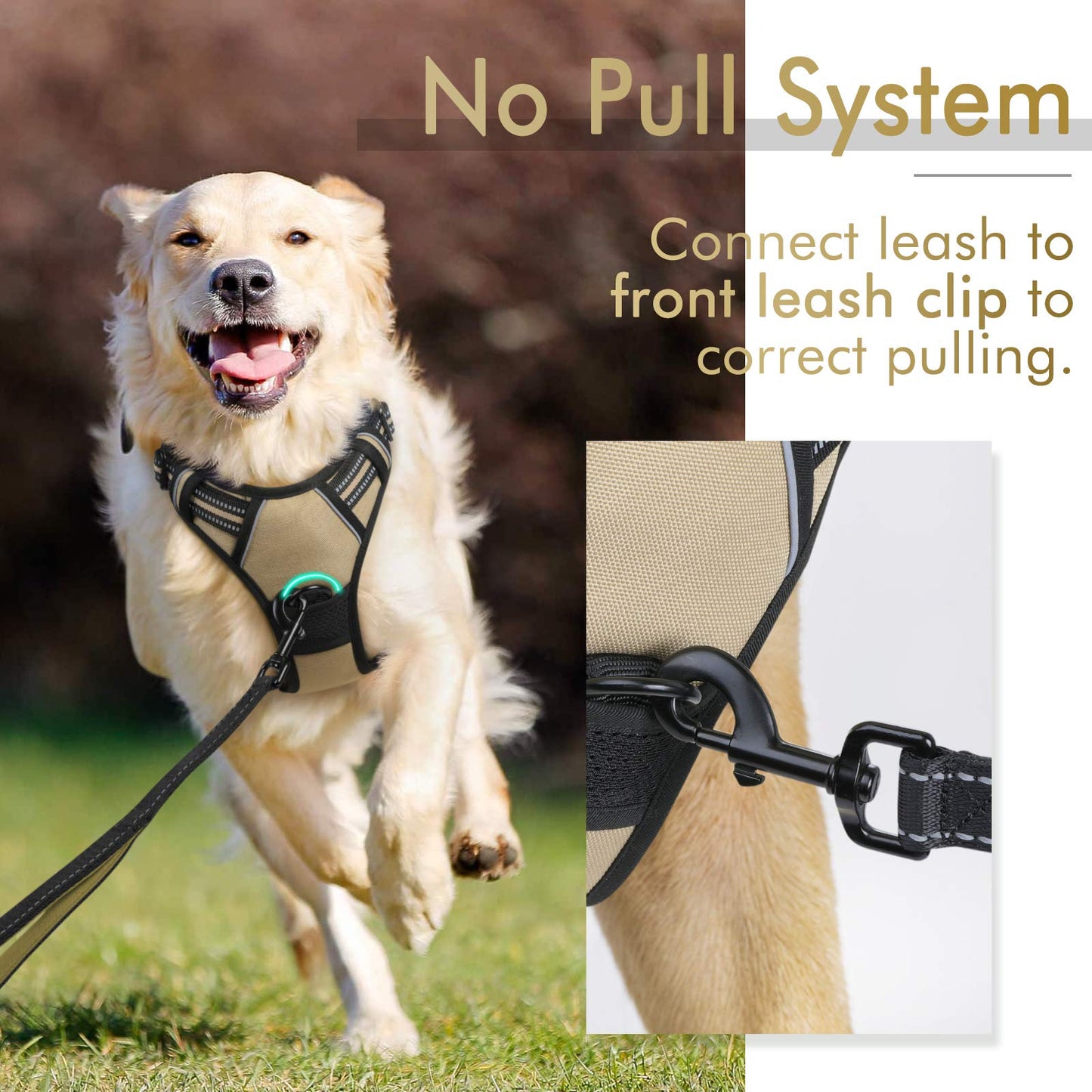 rabbitgoo Dog Harness, No-Pull Pet Harness with 2 Leash Clips, Adjustable Soft Padded Dog Vest, Reflective No-Choke Pet Oxford Vest with Easy Control Handle for Large Dogs, Black, L