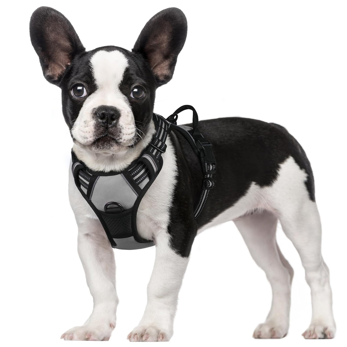 rabbitgoo Dog Harness, No-Pull Pet Harness with 2 Leash Clips, Adjustable Soft Padded Dog Vest, Reflective No-Choke Pet Oxford Vest with Easy Control Handle for Large Dogs, Black, L