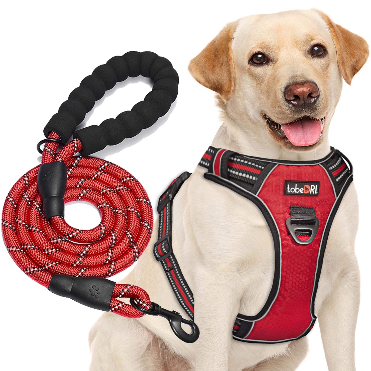 tobeDRI No Pull Dog Harness Adjustable Reflective Oxford Easy Control Medium Large Dog Harness with A Free Heavy Duty 5ft Dog Leash (S (Neck: 13"-18", Chest: 17.5"-22"), Blue Harness+Leash)