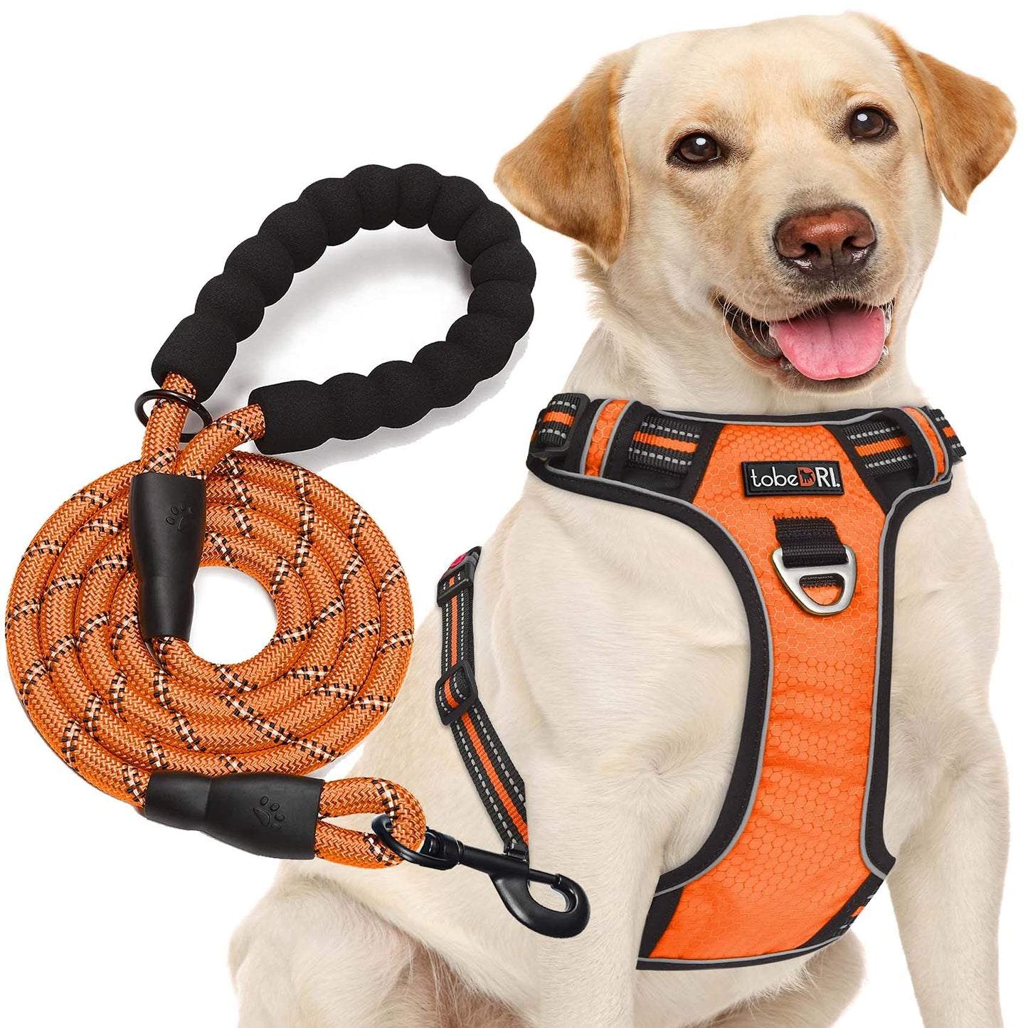 tobeDRI No Pull Dog Harness Adjustable Reflective Oxford Easy Control Medium Large Dog Harness with A Free Heavy Duty 5ft Dog Leash (S (Neck: 13"-18", Chest: 17.5"-22"), Blue Harness+Leash)