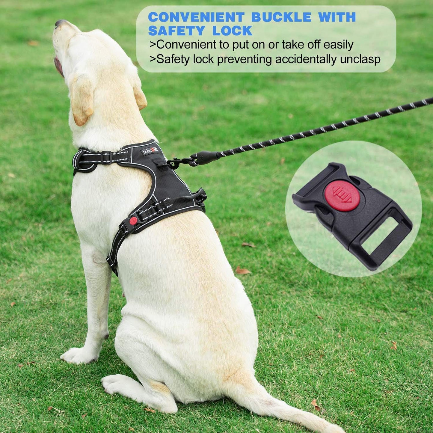 tobeDRI No Pull Dog Harness Adjustable Reflective Oxford Easy Control Medium Large Dog Harness with A Free Heavy Duty 5ft Dog Leash (S (Neck: 13"-18", Chest: 17.5"-22"), Blue Harness+Leash)