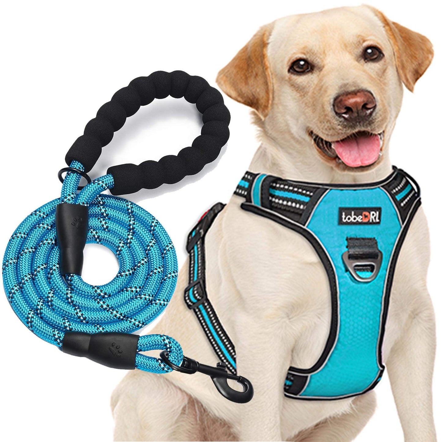 tobeDRI No Pull Dog Harness Adjustable Reflective Oxford Easy Control Medium Large Dog Harness with A Free Heavy Duty 5ft Dog Leash (S (Neck: 13"-18", Chest: 17.5"-22"), Blue Harness+Leash)