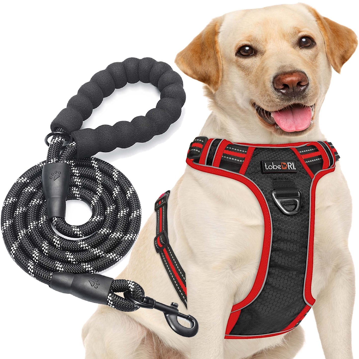 tobeDRI No Pull Dog Harness Adjustable Reflective Oxford Easy Control Medium Large Dog Harness with A Free Heavy Duty 5ft Dog Leash (S (Neck: 13"-18", Chest: 17.5"-22"), Blue Harness+Leash)