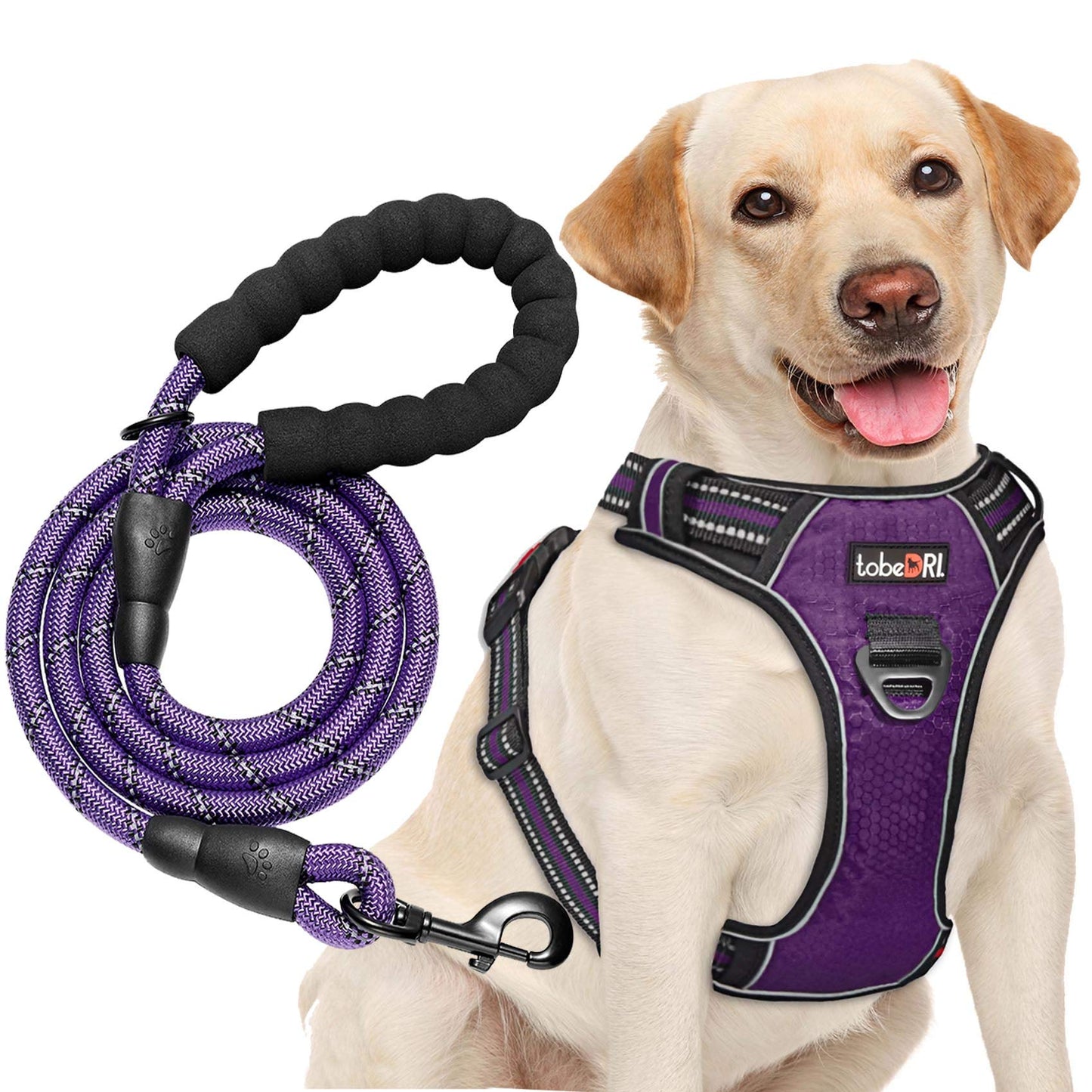 tobeDRI No Pull Dog Harness Adjustable Reflective Oxford Easy Control Medium Large Dog Harness with A Free Heavy Duty 5ft Dog Leash (S (Neck: 13"-18", Chest: 17.5"-22"), Blue Harness+Leash)