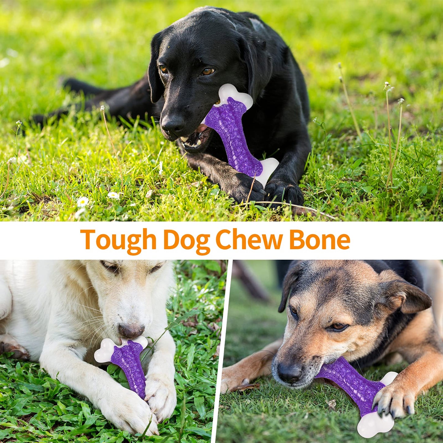 Tough Dog Toys, Toys for Aggressive Chewers Large Breed, Chew Dogs, Bone Toy Nylon Durable Dogs Extreme Indestructible