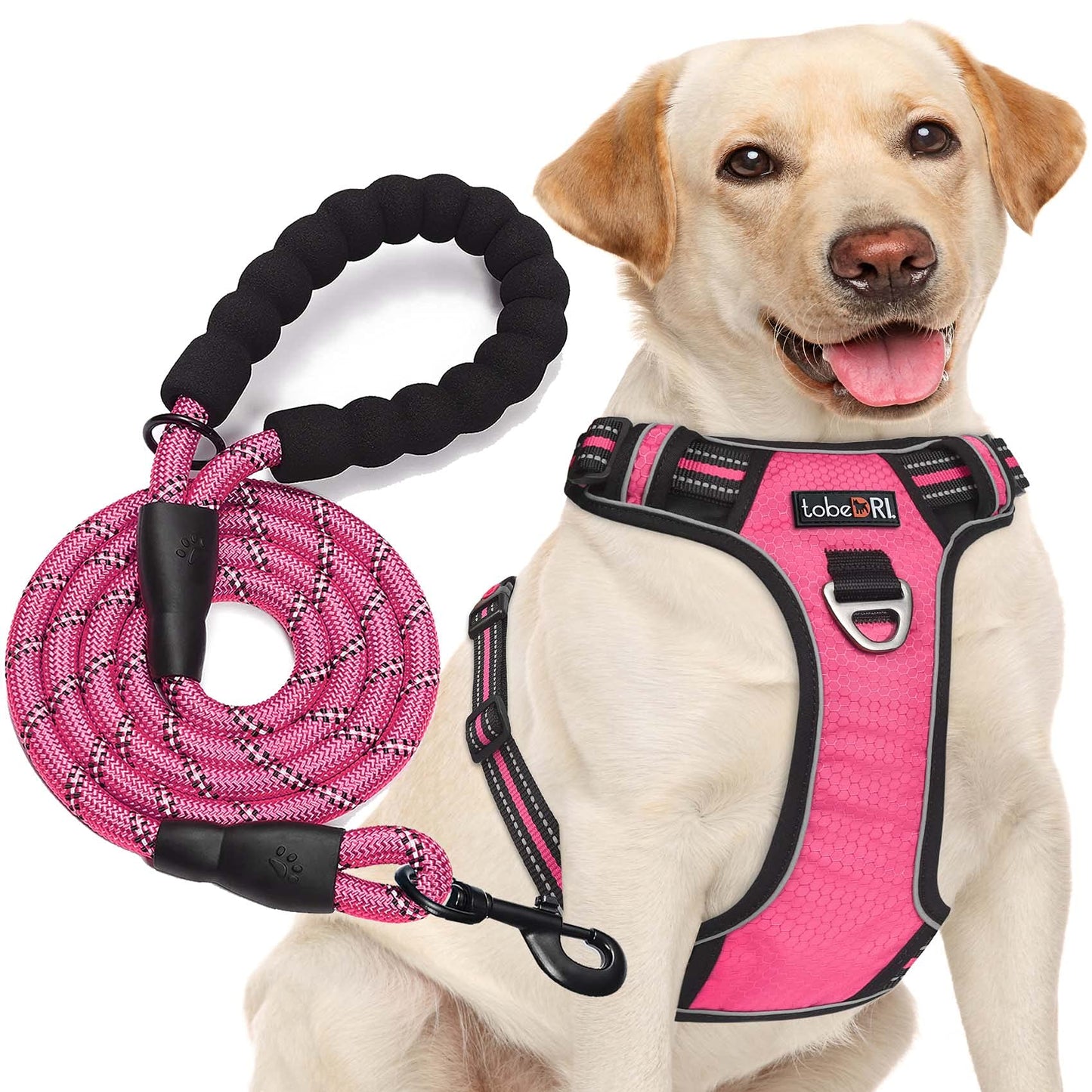 tobeDRI No Pull Dog Harness Adjustable Reflective Oxford Easy Control Medium Large Dog Harness with A Free Heavy Duty 5ft Dog Leash (S (Neck: 13"-18", Chest: 17.5"-22"), Blue Harness+Leash)