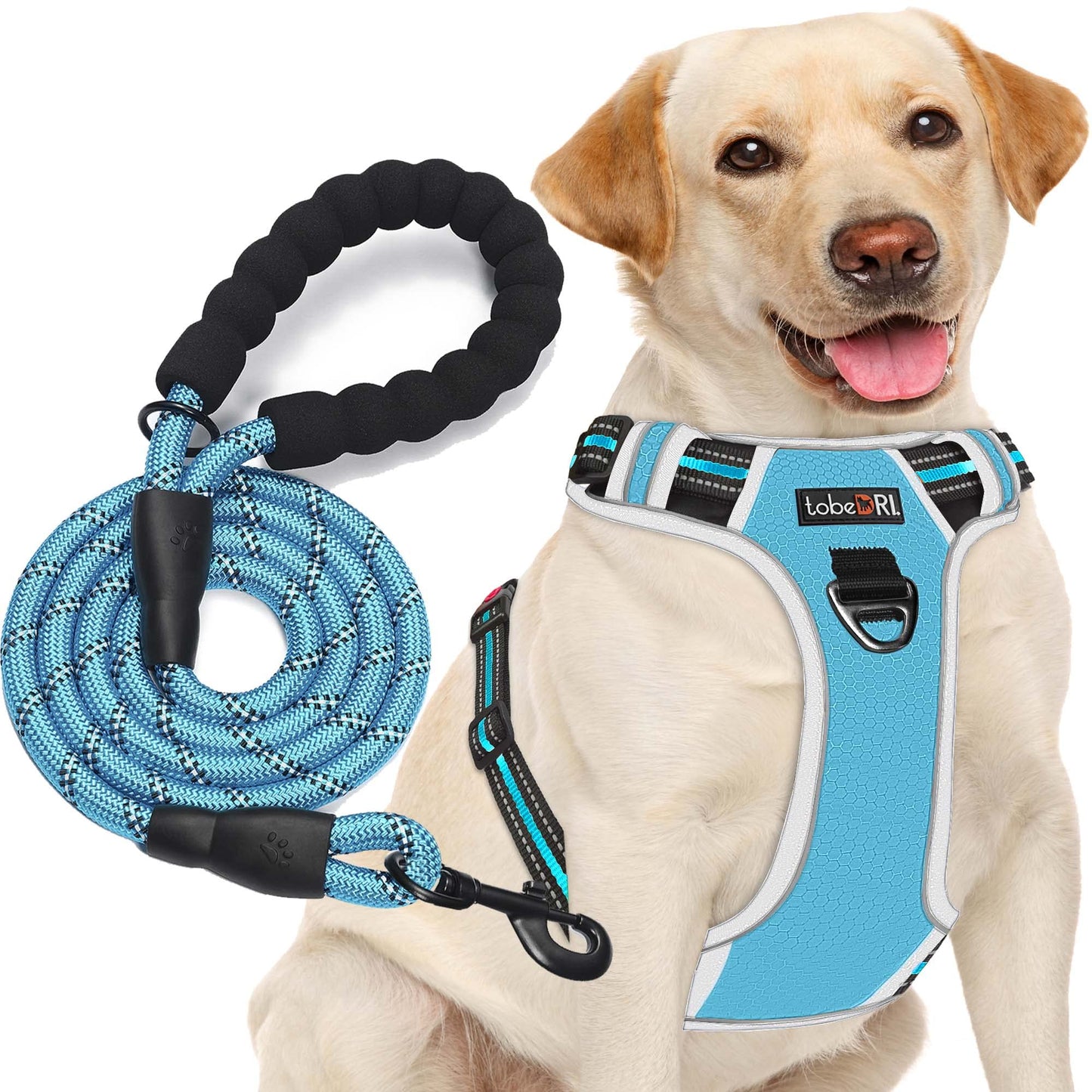 tobeDRI No Pull Dog Harness Adjustable Reflective Oxford Easy Control Medium Large Dog Harness with A Free Heavy Duty 5ft Dog Leash (S (Neck: 13"-18", Chest: 17.5"-22"), Blue Harness+Leash)