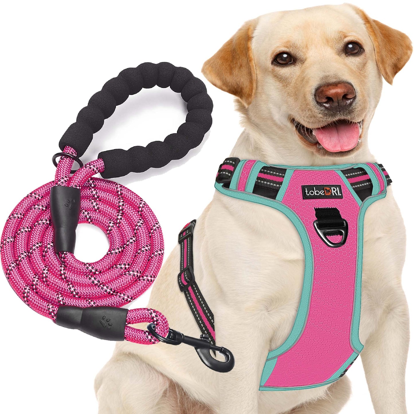 tobeDRI No Pull Dog Harness Adjustable Reflective Oxford Easy Control Medium Large Dog Harness with A Free Heavy Duty 5ft Dog Leash (S (Neck: 13"-18", Chest: 17.5"-22"), Blue Harness+Leash)