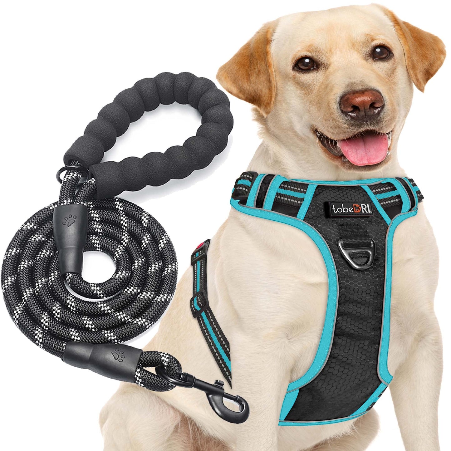 tobeDRI No Pull Dog Harness Adjustable Reflective Oxford Easy Control Medium Large Dog Harness with A Free Heavy Duty 5ft Dog Leash (S (Neck: 13"-18", Chest: 17.5"-22"), Blue Harness+Leash)