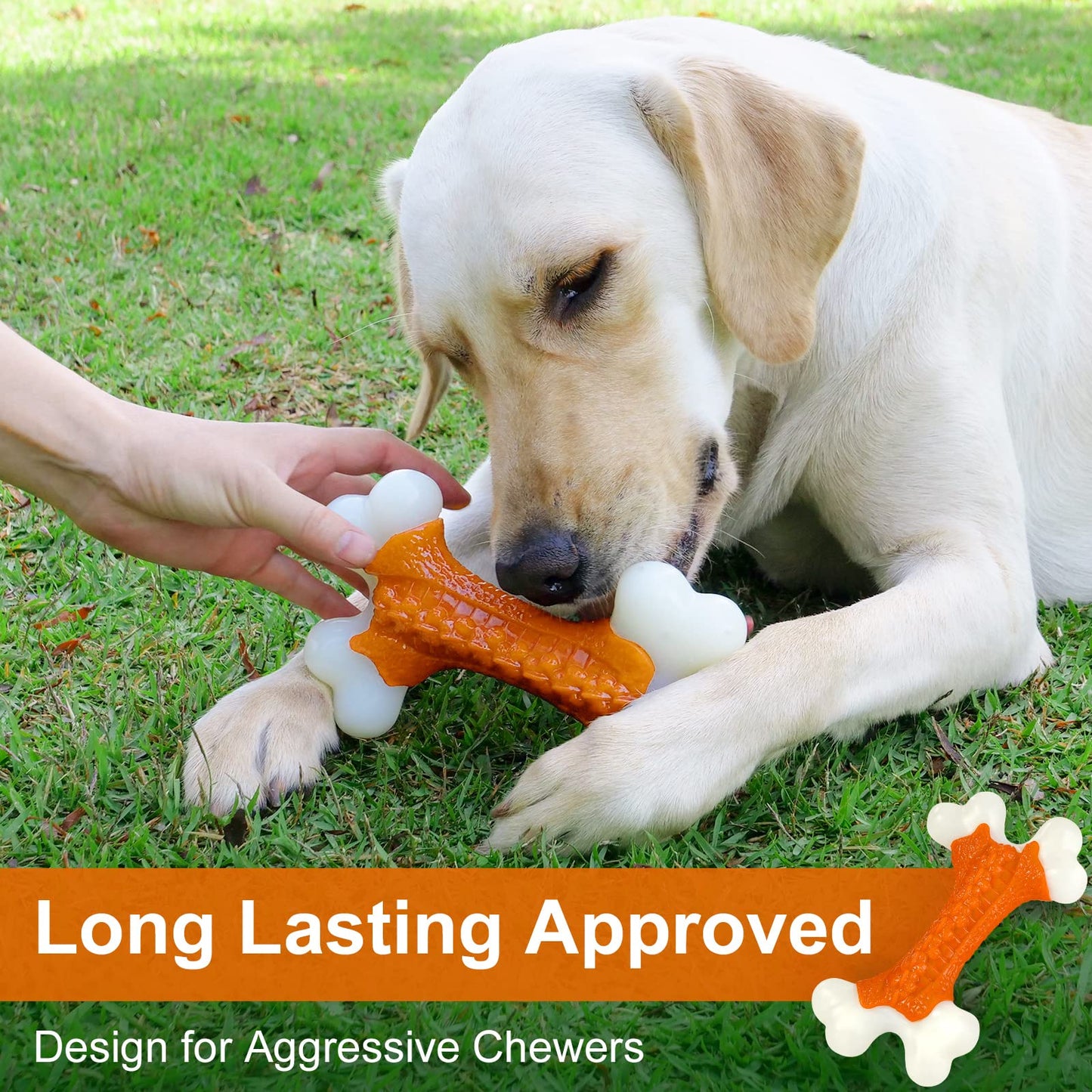 Tough Dog Toys, Toys for Aggressive Chewers Large Breed, Chew Dogs, Bone Toy Nylon Durable Dogs Extreme Indestructible