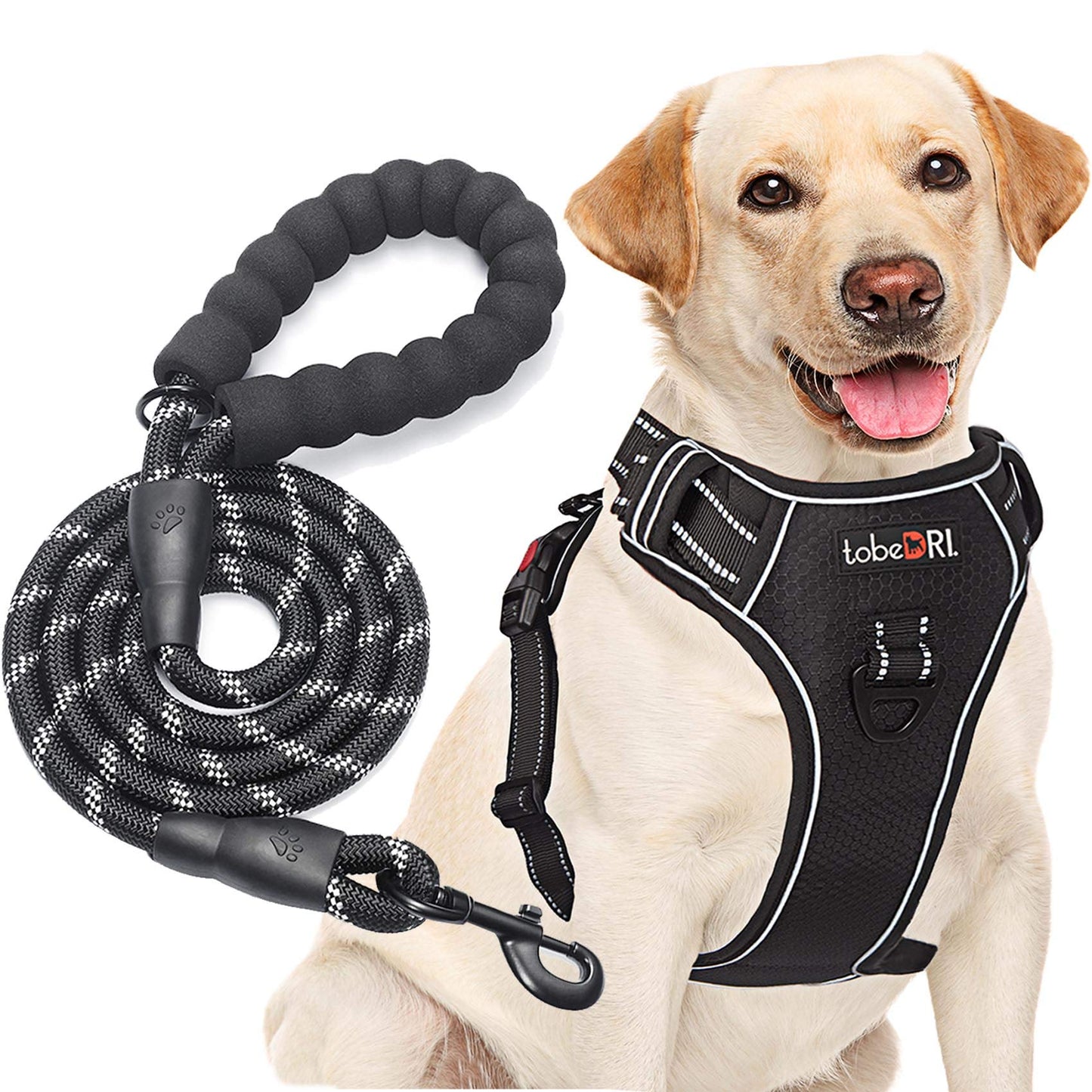 tobeDRI No Pull Dog Harness Adjustable Reflective Oxford Easy Control Medium Large Dog Harness with A Free Heavy Duty 5ft Dog Leash (S (Neck: 13"-18", Chest: 17.5"-22"), Blue Harness+Leash)